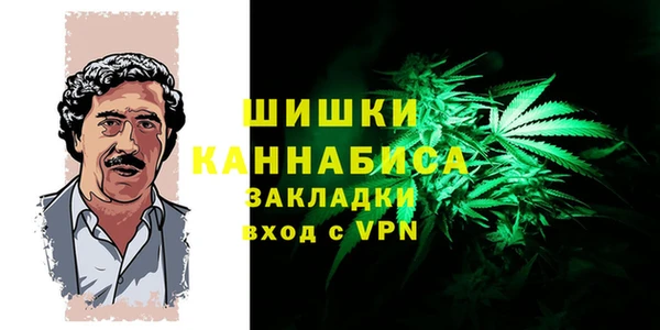 гидра Мегион