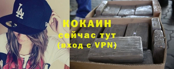 сатива Медногорск