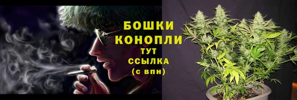 гидра Мегион