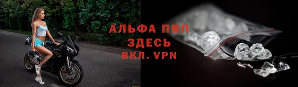 сатива Медногорск