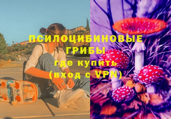 сатива Медногорск