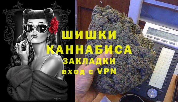 гидра Мегион